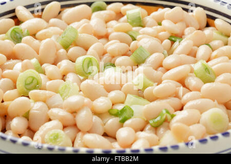 White bean salad with spring onions Stock Photo