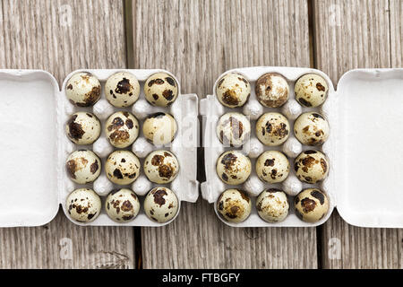 Quail eggs, two dozen in a box Stock Photo