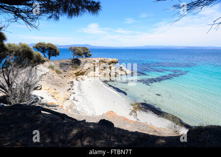 Maria Island National Park, Tasmania, Australia Stock Photo