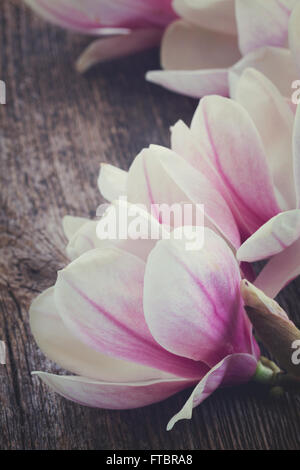 magnolia flowers with pearls on wooden table Stock Photo