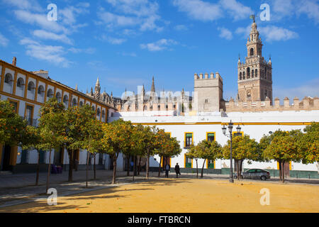 Plaza ''Patio de Banderas'' near the 'Reales Alcázares'', with the Giralda tower in the background. Andalusia, Seville. Spain. Stock Photo