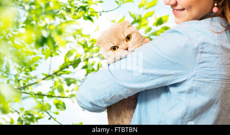 woman holding scottish fold cat over tree Stock Photo