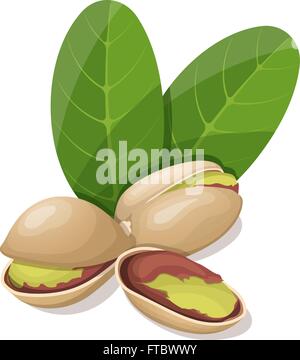 Pistachios with leafs isolated on white. Vector illustration. Stock Vector