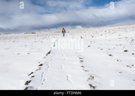 Man walking on snowy Moorland at Cow Green Reservoir, Teesdale