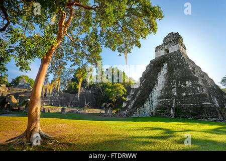 Maya Ruins - Temple of the Great Jaguar, Tikal National Park, Yucatan, Guatemala, UNESCO Stock Photo