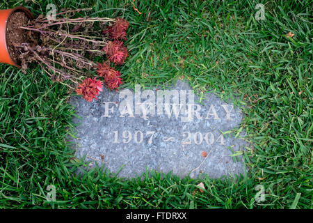 Grave of Fay Wray with dead flowers in Hollywood Forever Cemetery, Los Angeles, California Stock Photo