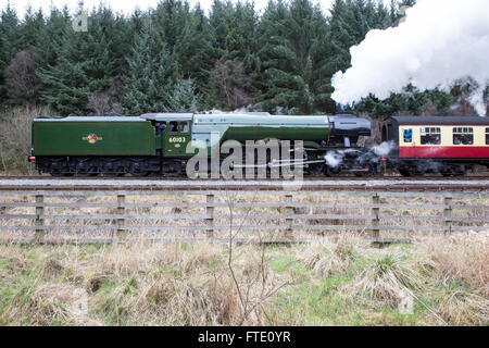 Flying Scotsman steam locomotive following its complete refurbishment in 2016 near Levisham station Stock Photo