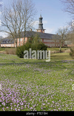 castle, blossoming crocuses, castle gardens, Husum, Schleswig-Holstein, Germany Stock Photo