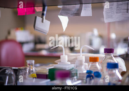 Research Lab Bottles In University Laboratory Stock Photo