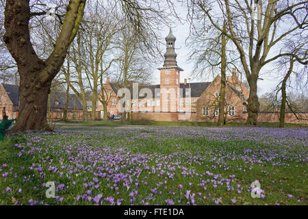 castle, blossoming crocuses, castle gardens, Husum, Schleswig-Holstein, Germany Stock Photo