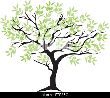 vector illustration of an olive tree Stock Vector