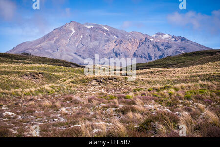 Mt Ruapehu and the surrounding alpine landscape in Tongariro National Park, New Zealand Stock Photo