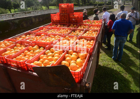 Sailors and Marines aboard the USS Bataan (LHD 5) participated in a community relations event during their port visit to Lisbon, Portugal, in February 2014. They contributed by picking oranges for local communities, reflecting the ship's humanitarian efforts. Stock Photo