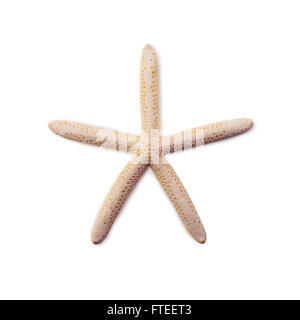 starfish isolated on white background Stock Photo