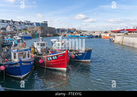 Fishing boats moored in North Sunderland Harbour Seahouses, Northumberland, England, UK Stock Photo