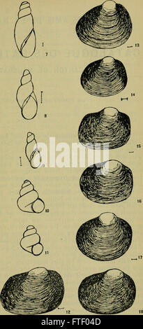 Bulletin de la Soci neuchloise des sciences naturelles (-1898) Stock Photo