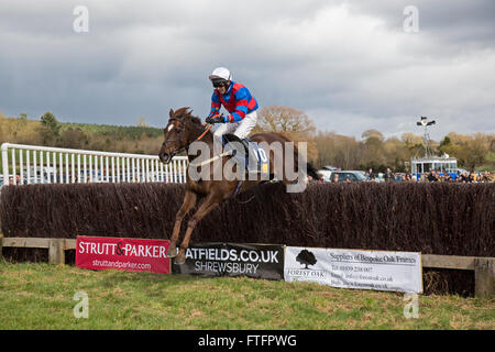 Eyton-on-Severn in Shropshire, UK. 28th March, 2016. 'Now Ben', the winner of The Men's Open Race at the Easter Bank Holiday Point to Point races. Stock Photo