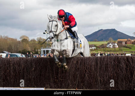 Eyton-on-Severn in Shropshire, UK. 28th March, 2016. 'Our Mick' running in The Men's Open Race at the Easter Bank Holiday Point to Point races. Stock Photo