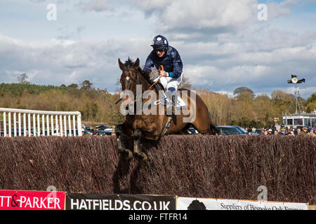 Eyton-on-Severn in Shropshire, UK. 28th March, 2016. 'Kiestown Chief', winner of The Confined Hunts Race at the Easter Bank Holiday races. Stock Photo