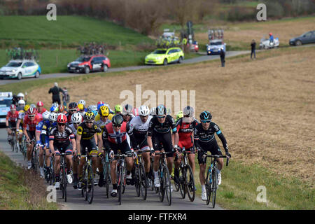 Deinze, Belgium. 27th Mar, 2016. the peloton is riding through Flemish landscapes during the Flanders Classics UCI World Tour 78nd Gent-Wevelgem cycling race with start in Deinze and finish in Wevelgem © Action Plus Sports/Alamy Live News Stock Photo