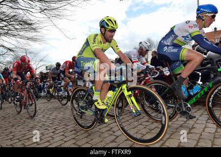 Deinze, Belgium. 27th Mar, 2016. GATTO Oscar (ITA) Rider of TINKOFF on the Kemmelberg during the Flanders Classics UCI World Tour 78nd Gent-Wevelgem cycling race with start in Deinze and finish in Wevelgem © Action Plus Sports/Alamy Live News Stock Photo