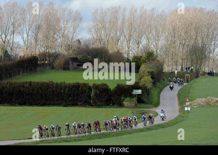 Deinze, Belgium. 27th Mar, 2016. the peloton is riding through Flemish landscapes during the Flanders Classics UCI World Tour 78nd Gent-Wevelgem cycling race with start in Deinze and finish in Wevelgem © Action Plus Sports/Alamy Live News Stock Photo