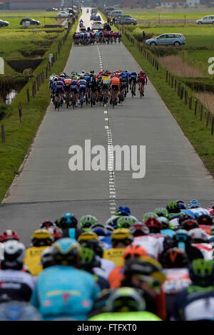 Deinze, Belgium. 27th Mar, 2016. the peloton is divided in echelons during the Flanders Classics UCI World Tour 78nd Gent-Wevelgem cycling race with start in Deinze and finish in Wevelgem © Action Plus Sports/Alamy Live News Stock Photo