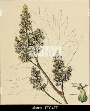 This 1812 work outlines the principles of botany according to Carl ...