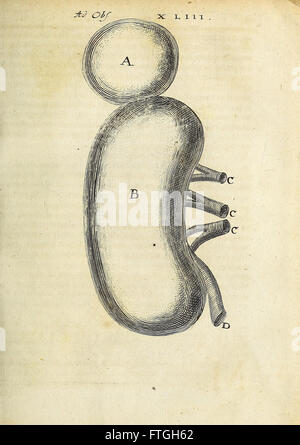 Miscellanea Curiosa Medico-Physica Academiae Naturae Curiosorum (1670) Miscellanea Curiosa Medico-Physica Academiae Naturae Curiosorum (1670)