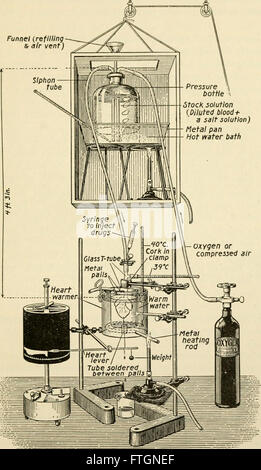 Physiology and biochemistry in modern medicine (1918) Stock Photo