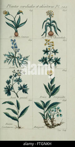 Plantes usuelles, indigC3A8nes et exotiques (Pl. 100) Stock Photo