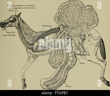 This 1906 manual on postmortem pathology provides detailed guidance on ...
