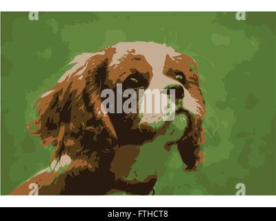 Cavalier King Charles Spaniel Vector Illustration Stock Vector