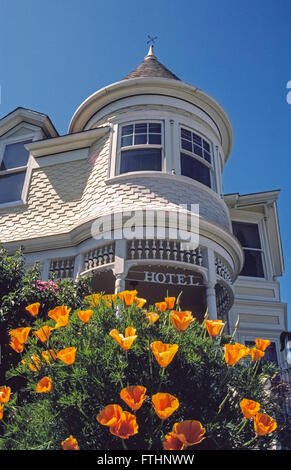 An historic Victorian hotel now called the Gosby House Inn has been welcoming guests for more than a century in Pacific Grove on the Monterey Peninsula in California, USA. A wonderful example of 1880s Queen Anne architecture, the 22-room bed-and-breakfast inn is noted by its rounded corner turret and bay windows. In the foreground are bright orange California poppies, the Golden State's official flower. Stock Photo