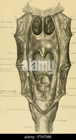 Surgical anatomy : a treatise on human anatomy in its application to