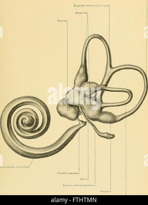 This 1901 treatise on surgical anatomy explores human anatomy with a ...