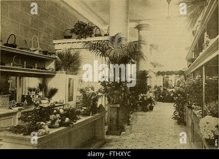 The American florist - a weekly journal for the trade (1916) Stock Photo