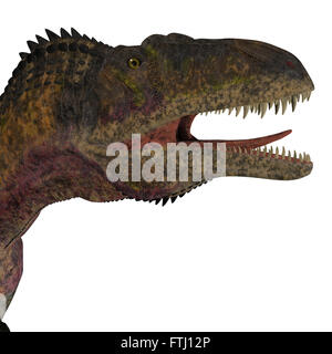 Acrocanthosaurus was a theropod carnivorous dinosaur that lived in North America during the Cretaceous Period. Stock Photo