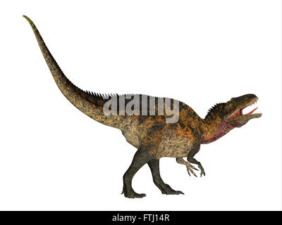 Acrocanthosaurus was a theropod carnivorous dinosaur that lived in North America during the Cretaceous Period. Stock Photo