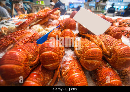 Australian lobster Stock Photo