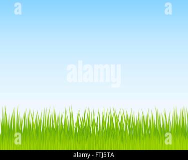 Nature background with green grass and blue sky. Vector illustration ...