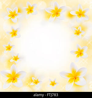 Frame made of frangipani flowers Stock Photo