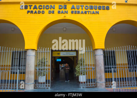 Prado de San Sebastian, long distance bus station, Sevilla, Andalucia, Spain Stock Photo