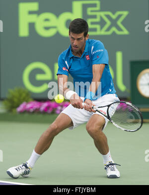 Key Biscayne, FL, USA. 29th Mar, 2016. Key Biscayne, FL - MARCH 29: Novak Djokovic (SRB) in action here defeats Dominic Thiem(AUT) 63 64 at the 2016 Miami Open at the Crandon Tennis Center in Key Biscayne Florida. Credit:  Andrew Patron/ZUMA Wire/Alamy Live News Stock Photo