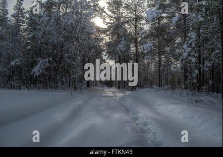 car tracks after small snowy forest road in wintertime with sunshine Stock Photo