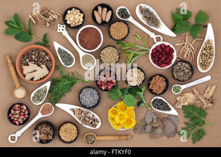 Healing herb and spice selection used in natural alternative medicine for women. Stock Photo