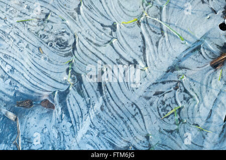Patterns in Ice Stock Photo
