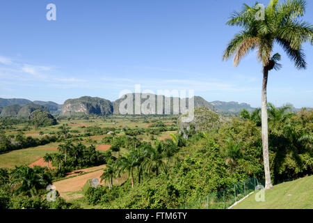 Panoramic view over landscape with mogotes in Vinales Valley, Cuba Stock Photo