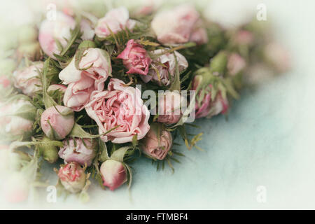 Image of pink vintage roses background texture. Stock Photo