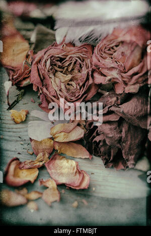 Image of dried vintage nostalgic roses background texture. Stock Photo